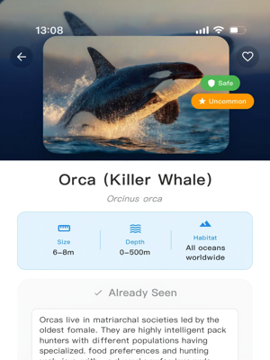 Detailed marine species information for diving enthusiasts and Dave the Diver fans